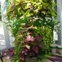 Deck Pot