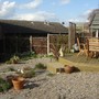 My back garden
