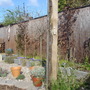 Back Garden