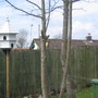 Dovecote 