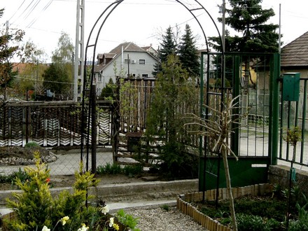 Latest acquisition a new Rose Arch