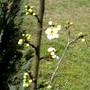 Pict0737