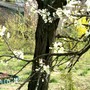 Pict0739
