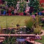 Pond Project 2004