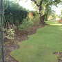 A garden flower photo