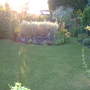 Garden_25th_august_2007_018