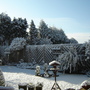 Spring_april_2008_001