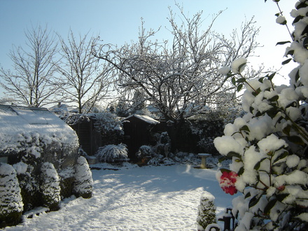 Spring April 2008
