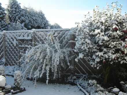 Spring April 2008