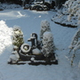 Spring_april_2008_010