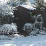 Spring_april_2008_011