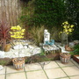 Spring_april_2008_002