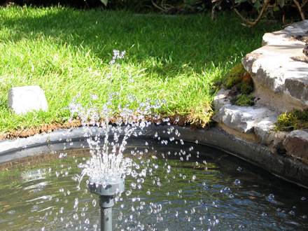 Frozen fountain.