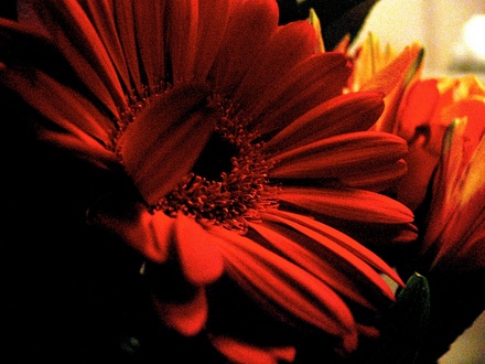 Red!
