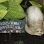No snails allowed