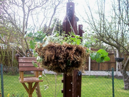 Summer Basket 1