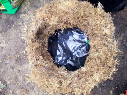 hanging_basket_5.jpg