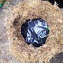 Hanging_basket_5