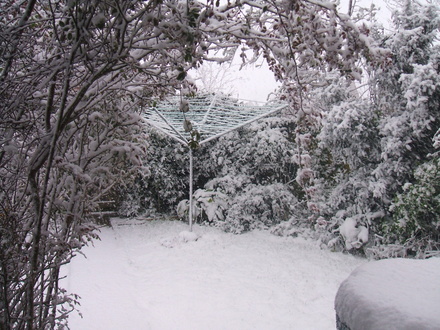 Snow