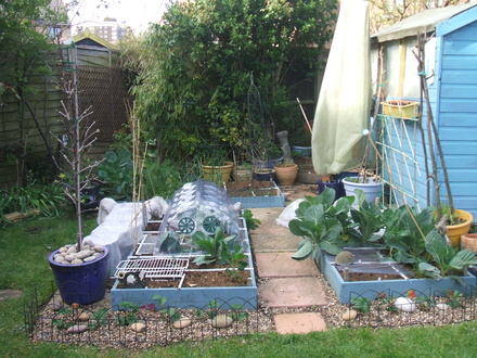 Square Foot Garden April 08