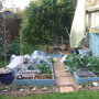 Square Foot Garden April 08