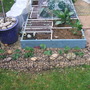 Square Foot Garden April 08