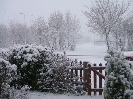 Snow April 2008