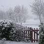 Snow April 2008