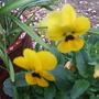 sfg_apr_2008_005.jpg