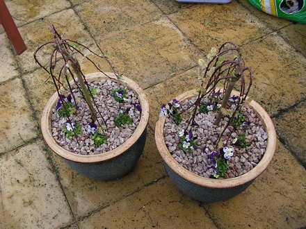 my pots