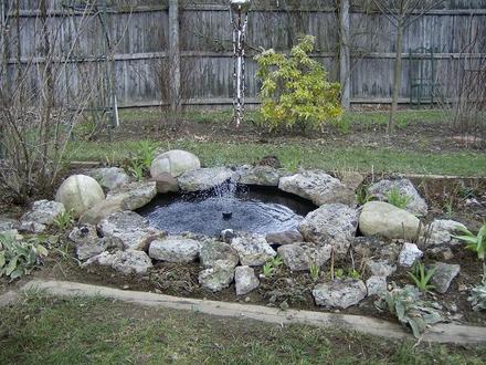 Pond Project April 2008
