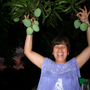 MANGO TREE