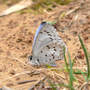Spring Azure