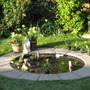 Pond with new plants