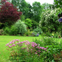 Garden_view__late_june