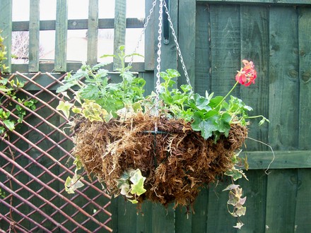 Hot Summer Basket 3