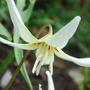 Dsc00730