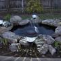 Pond Lights