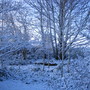 Wintery scene