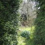 Copy_of_img_1505