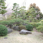 Japanese garden