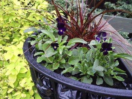 Wicked Witch's Castle Planter