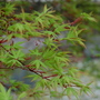 DSC_0117.jpg