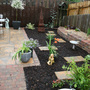 view of garden just planted up