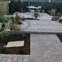 garden view from beginning