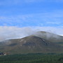 Mourne's