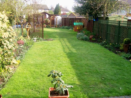 Back garden from the patio
