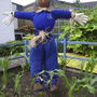 Scarecrow