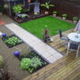 IMGP1146.jpg