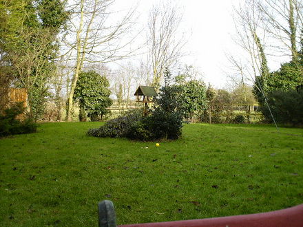 Back Garden Nov 07
